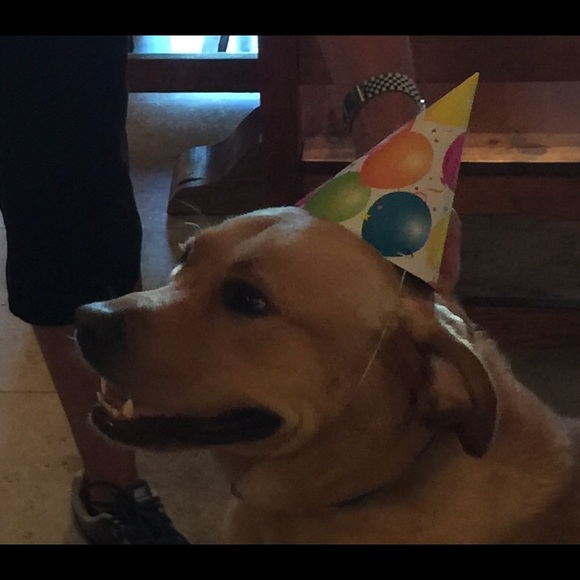 Meet your Posher, Mark - Picture 7 of 16